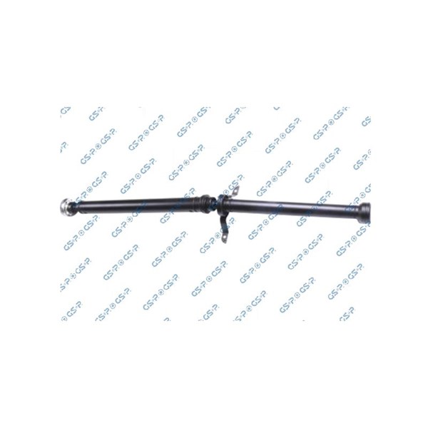 Kardan, Bak Gsp PS900581 GSP