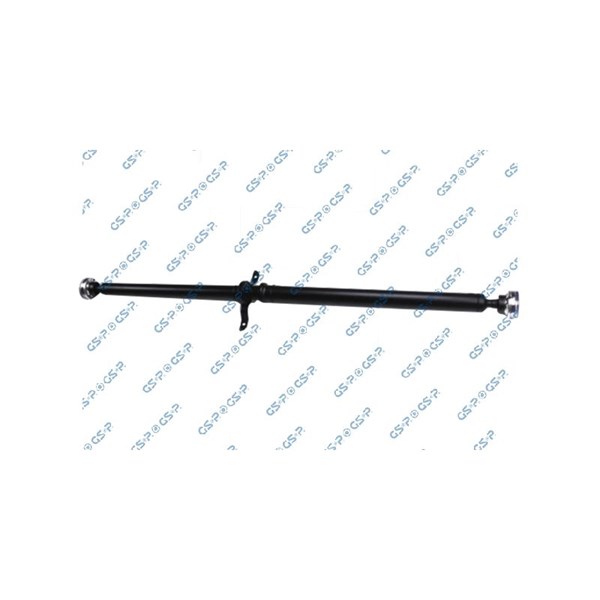 Kardan, Bak Gsp PS901419 GSP