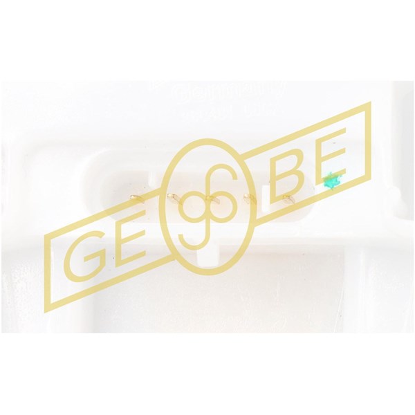 Bränslepump 12V, I bränslebehållaren Gebe 9 6048 1 GEBE Bränslepump 12V, I bränslebehållaren Gebe 9 6048 1 GEBE