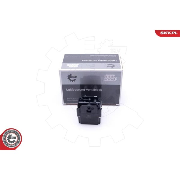 Ventil, kompressorsystem Esen skv 93SKV813 ESEN SKV