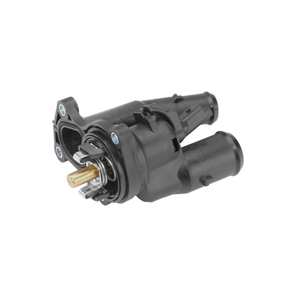 Termostat, kylvätska Borgwarner (wahler) 410016.98D BorgWarner (Wahler)