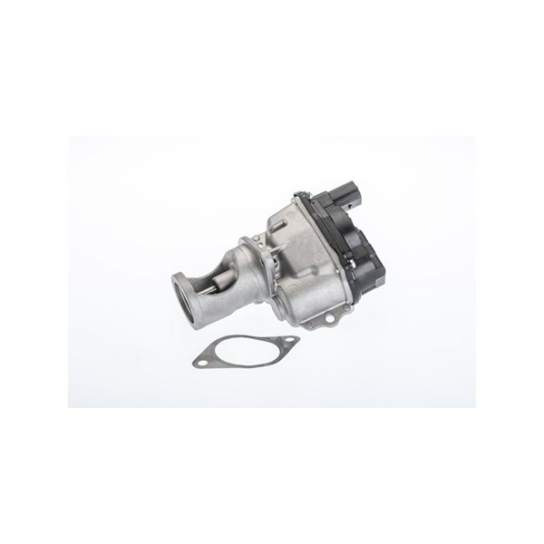 Egr-ventil Borgwarner (wahler) 710981R BorgWarner (Wahler)