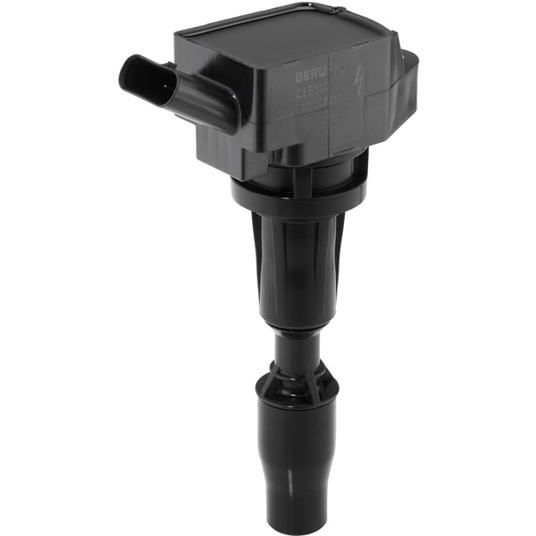 Tändspole 12V Beru ZSE300 BERU