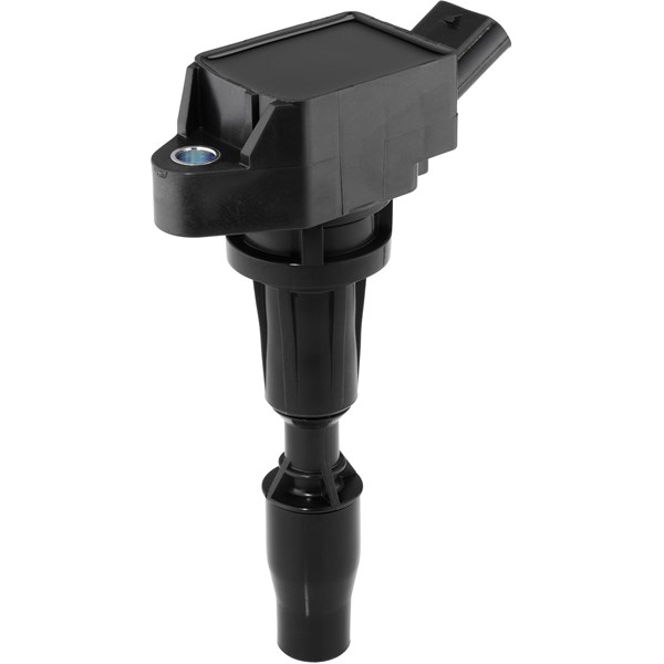 Tändspole 12V Beru ZSE300 BERU