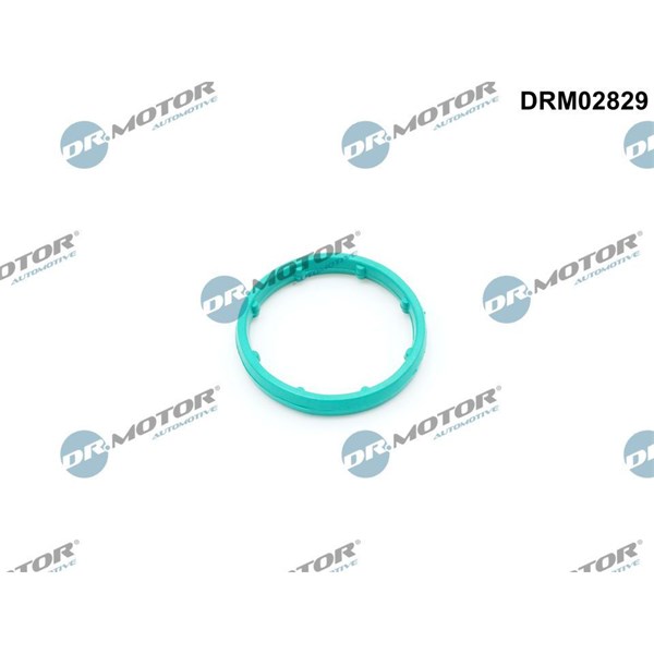 Packning, oljekylare Dr.motor automotive DRM02829 Dr.Motor Automotive