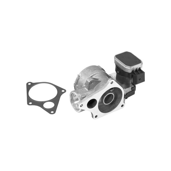 Egr-ventil Borgwarner (wahler) 7256D BorgWarner (Wahler)