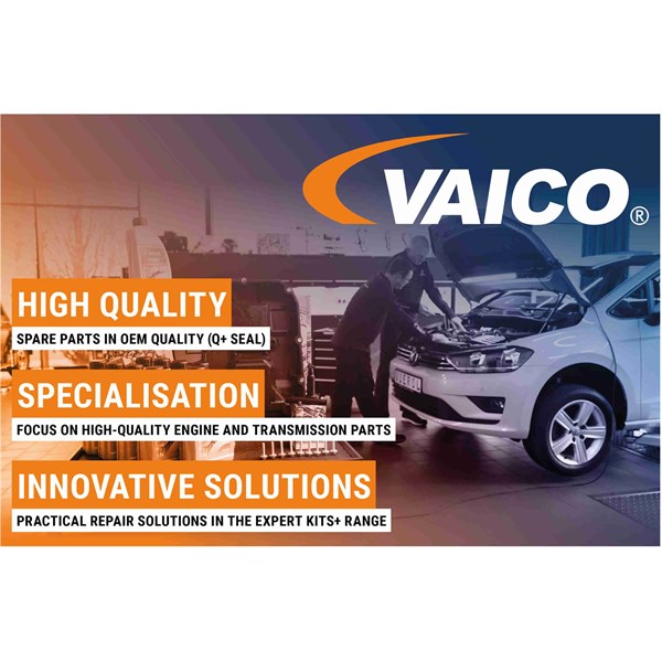 Bussning, länkarm, Bakaxel Vaico V30-3504 VAICO