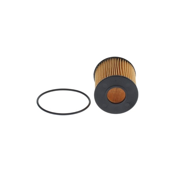 Oljefilter Bosch F 026 407 363 BOSCH