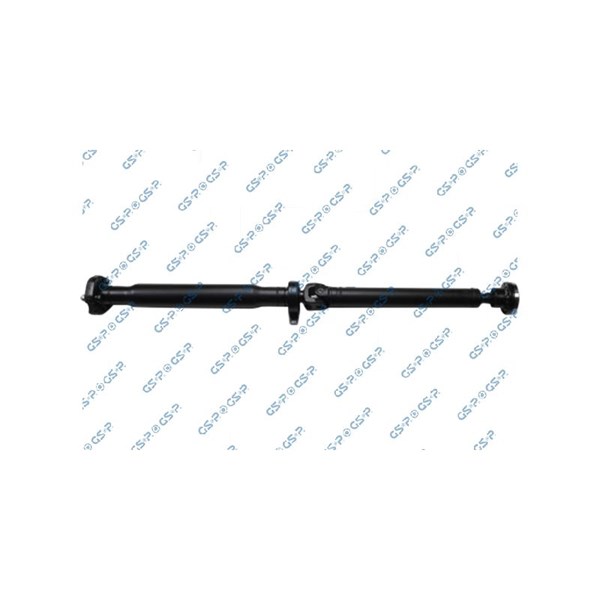 Kardan, Bak Gsp PS900151 GSP