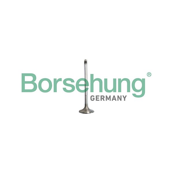 Insugsventil Borsehung B10327 Borsehung