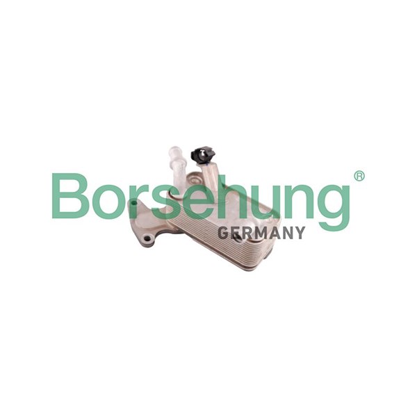 Oljekylare, automatisk transmission Borsehung B10879 Borsehung