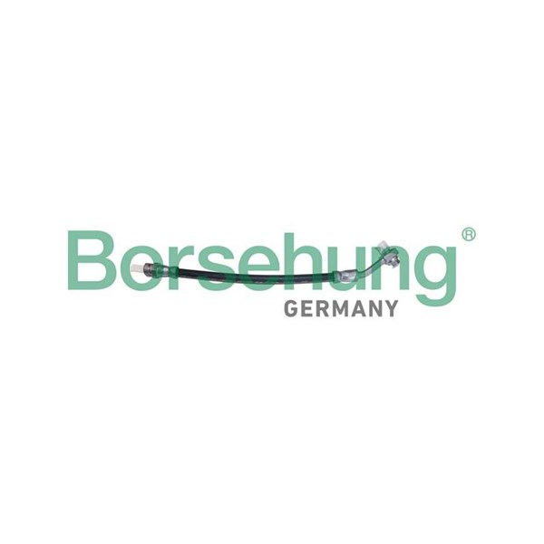Bromsslang, Bak Borsehung B10949 Borsehung