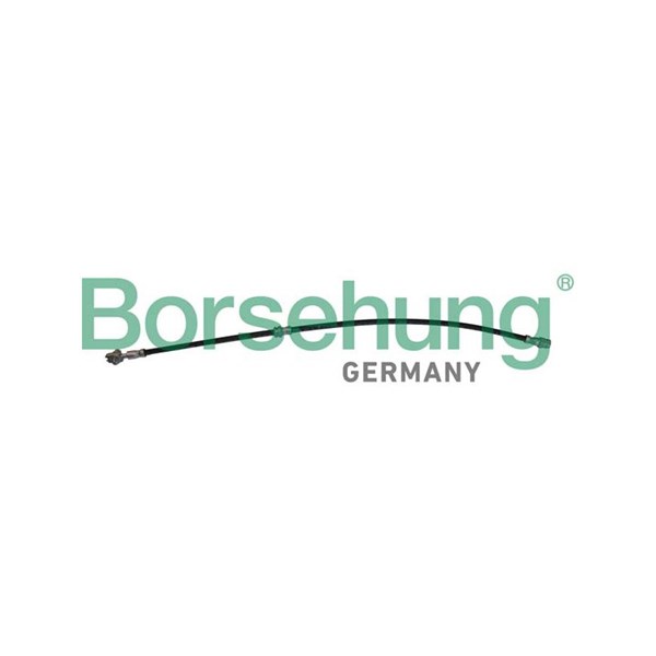 Bromsslang, Fram Borsehung B10952 Borsehung