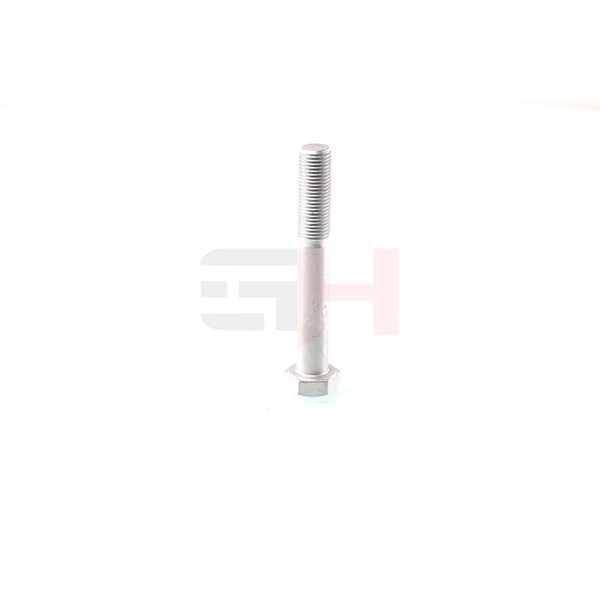 Skruv, axeltapp, Bakaxel nedtill Gh GH-391533 GH