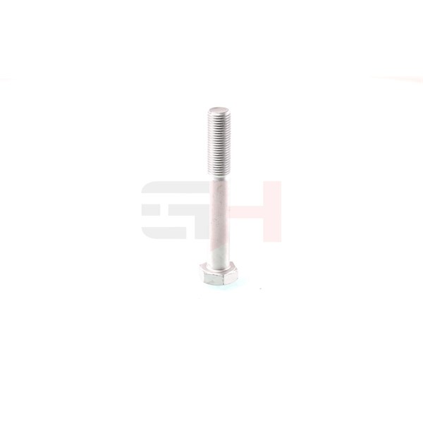 Skruv, axeltapp, Bakaxel nedtill Gh GH-391533 GH