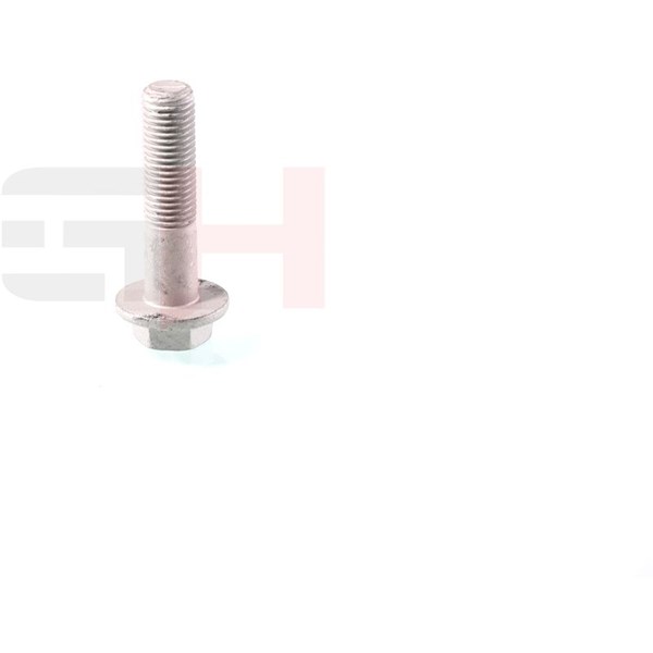 Skruv, axeltapp Gh GH-391596 GH