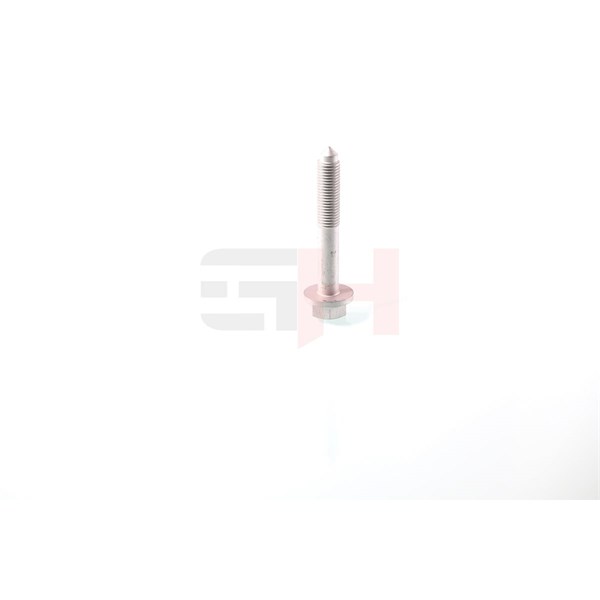 Skruv, axeltapp Gh GH-391937 GH