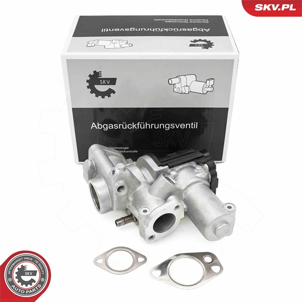 Egr-ventil Esen skv 14SKV253 ESEN SKV