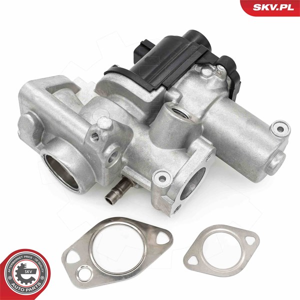 Egr-ventil Esen skv 14SKV253 ESEN SKV