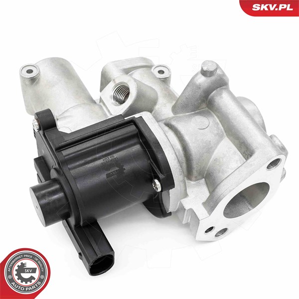 Egr-ventil Esen skv 14SKV253 ESEN SKV