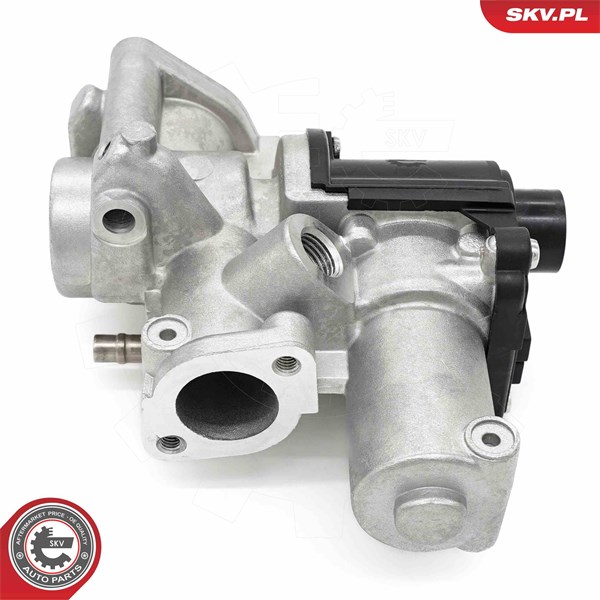 Egr-ventil Esen skv 14SKV253 ESEN SKV
