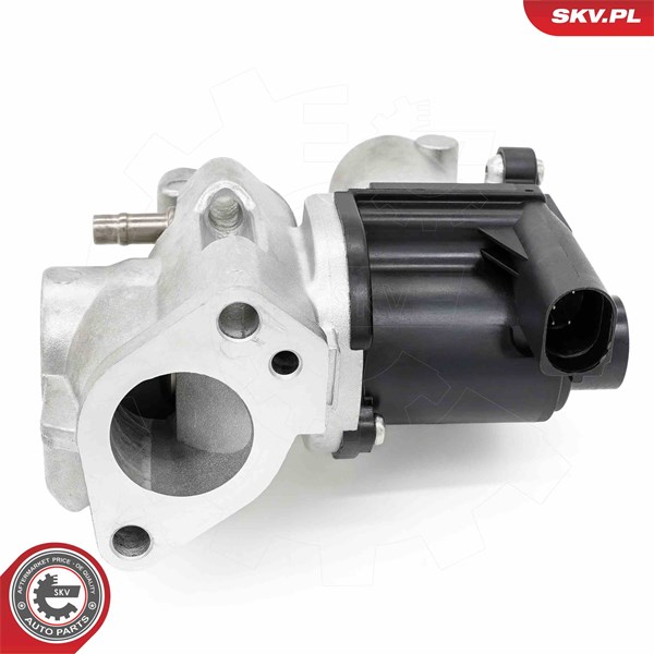 Egr-ventil Esen skv 14SKV253 ESEN SKV