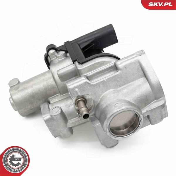 Egr-ventil Esen skv 14SKV253 ESEN SKV