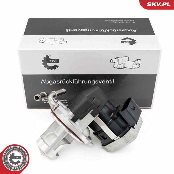 Egr-ventil Esen skv 14SKV255 ESEN SKV
