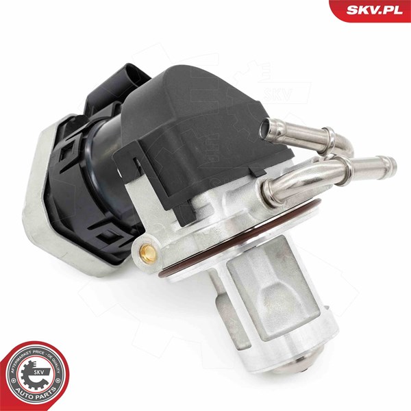 Egr-ventil Esen skv 14SKV255 ESEN SKV