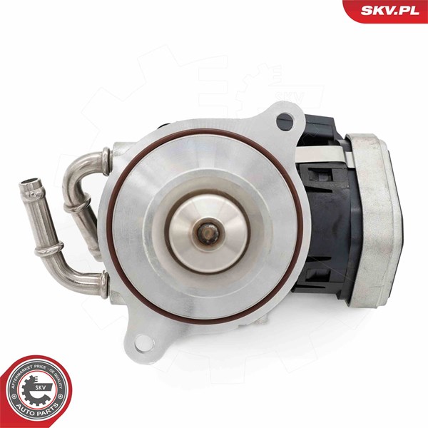 Egr-ventil Esen skv 14SKV255 ESEN SKV Egr-ventil Esen skv 14SKV255 ESEN SKV