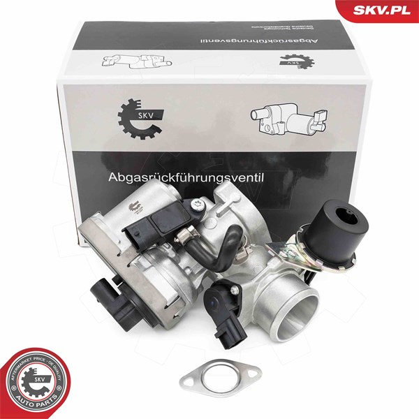 Egr-ventil Esen skv 14SKV256 ESEN SKV