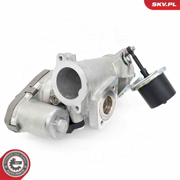 Egr-ventil Esen skv 14SKV256 ESEN SKV