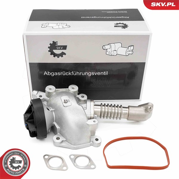 Egr-ventil Esen skv 14SKV257 ESEN SKV