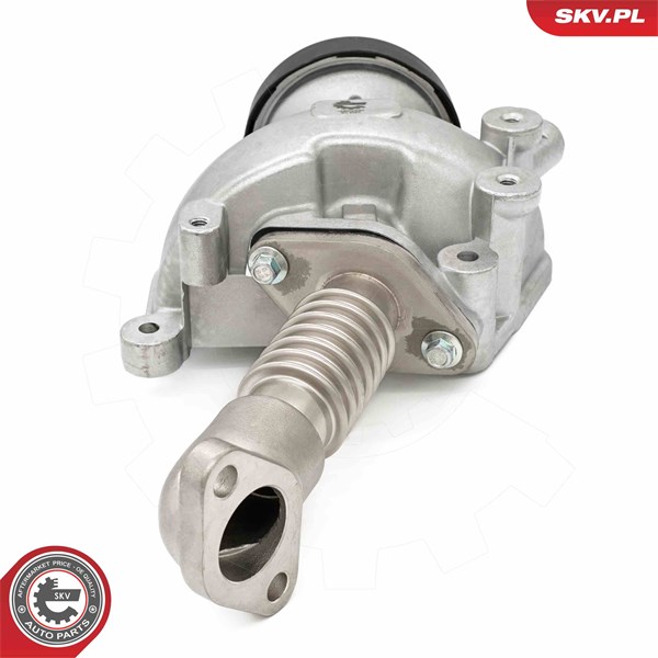 Egr-ventil Esen skv 14SKV257 ESEN SKV