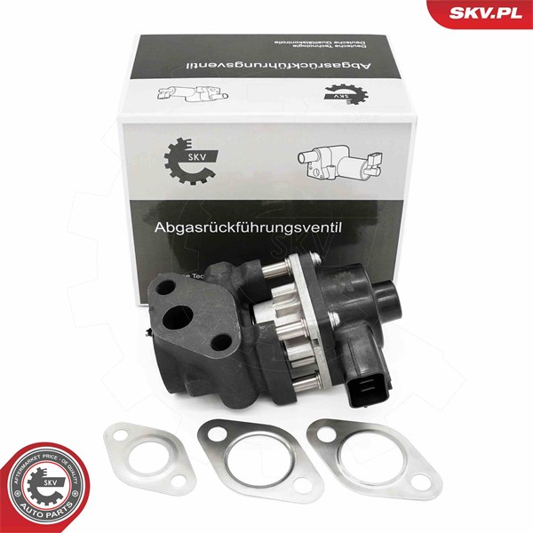 Egr-ventil Esen skv 14SKV260 ESEN SKV