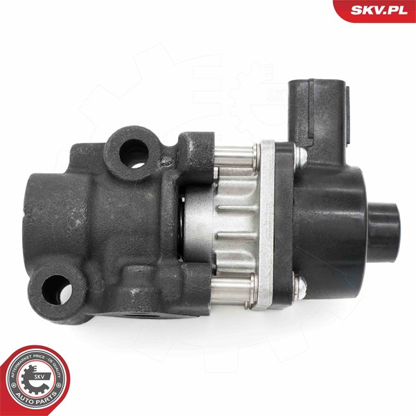Egr-ventil Esen skv 14SKV260 ESEN SKV