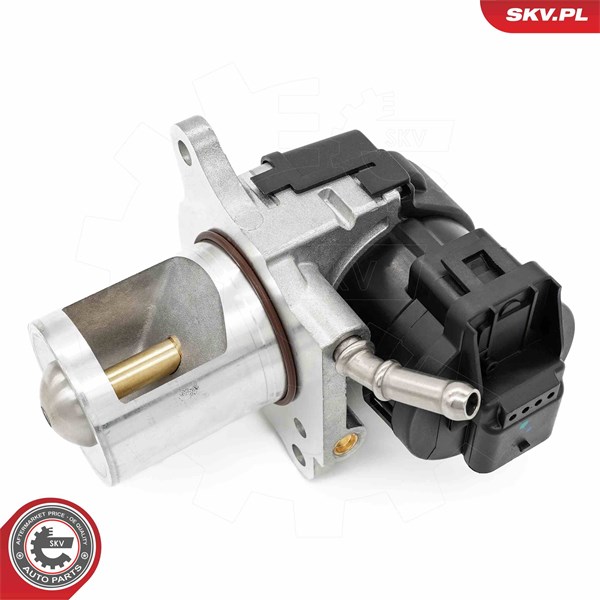 Egr-ventil Esen skv 14SKV261 ESEN SKV