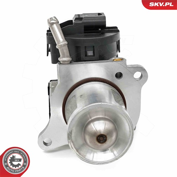 Egr-ventil Esen skv 14SKV261 ESEN SKV