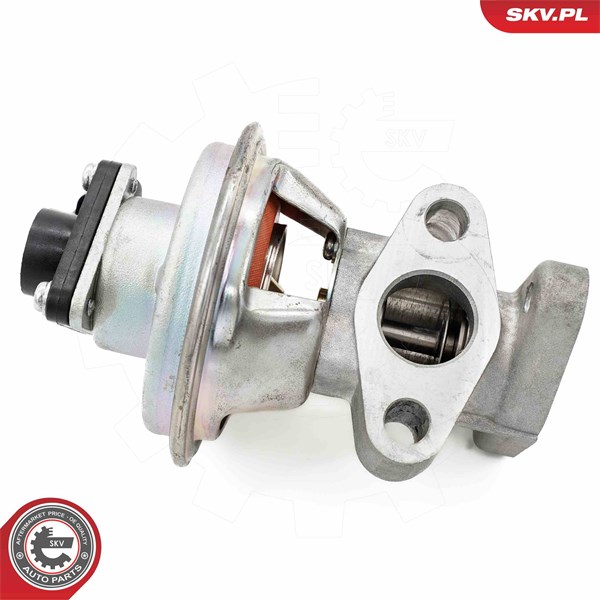 Egr-ventil Esen skv 14SKV262 ESEN SKV