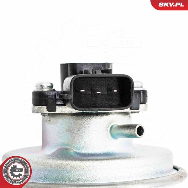 Egr-ventil Esen skv 14SKV262 ESEN SKV