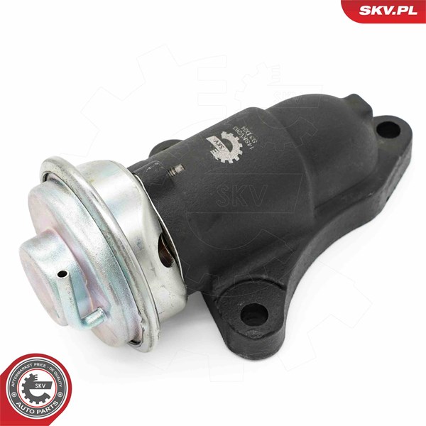 Egr-ventil Esen skv 14SKV263 ESEN SKV