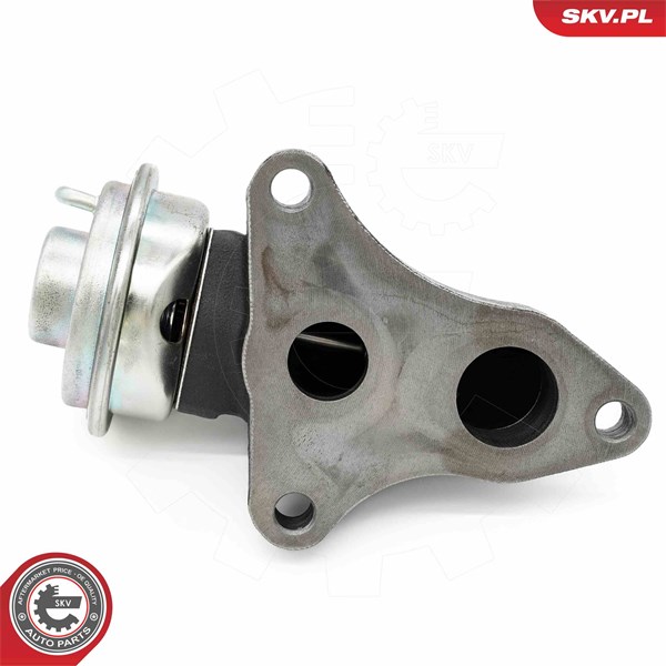 Egr-ventil Esen skv 14SKV263 ESEN SKV