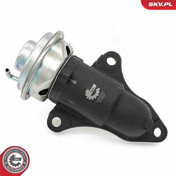 Egr-ventil Esen skv 14SKV263 ESEN SKV
