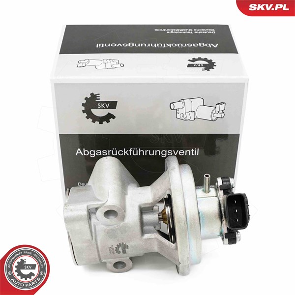 Egr-ventil Esen skv 14SKV269 ESEN SKV