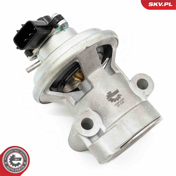 Egr-ventil Esen skv 14SKV269 ESEN SKV