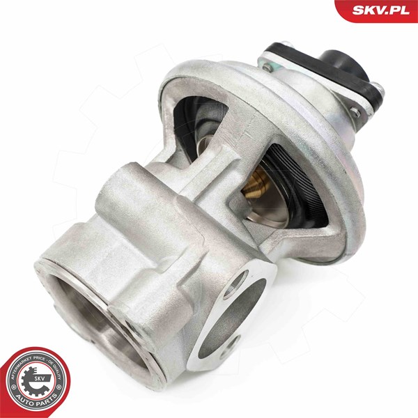 Egr-ventil Esen skv 14SKV269 ESEN SKV