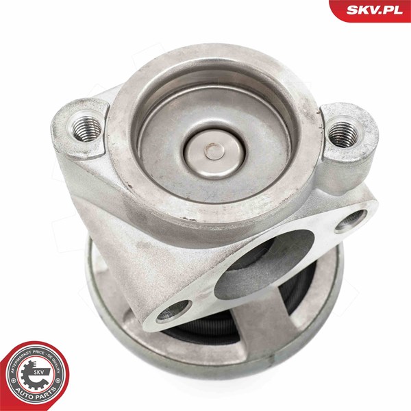 Egr-ventil Esen skv 14SKV269 ESEN SKV