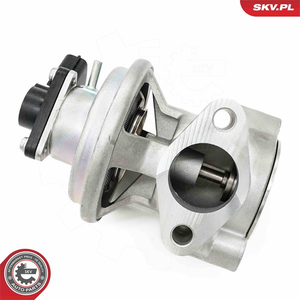 Egr-ventil Esen skv 14SKV269 ESEN SKV