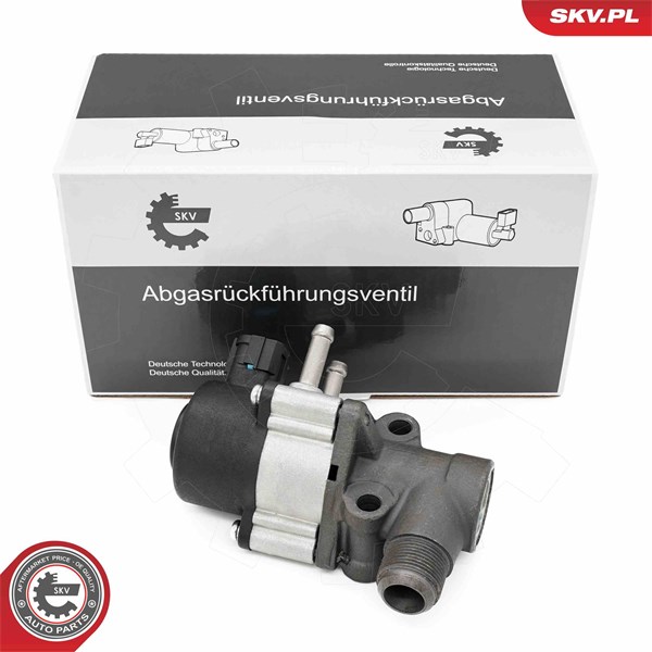Egr-ventil Esen skv 14SKV271 ESEN SKV