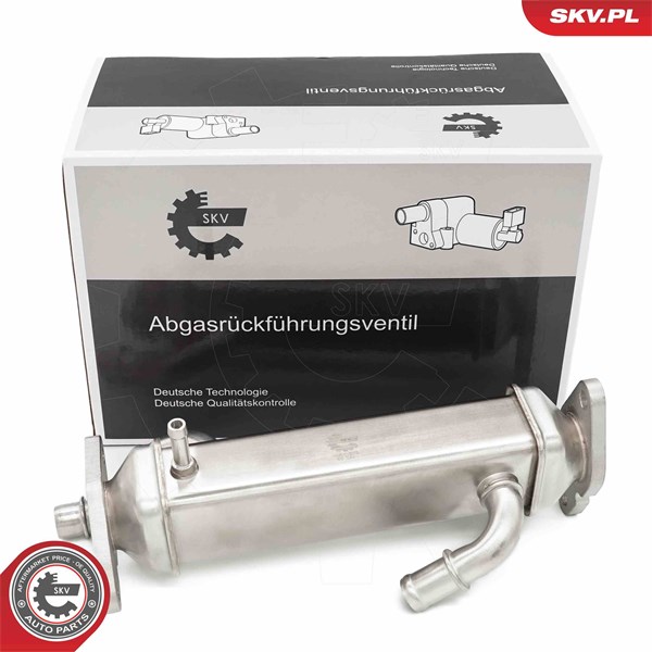 Egr-ventil Esen skv 14SKV273 ESEN SKV